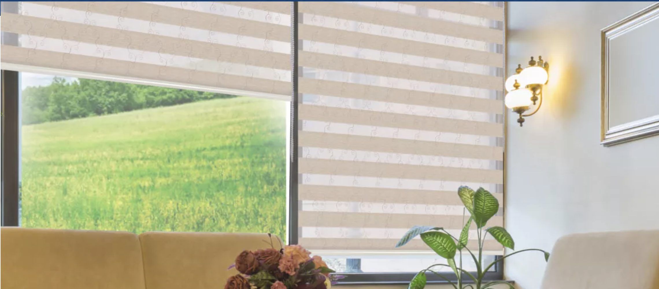 Contemporary zebra blinds for living room windows